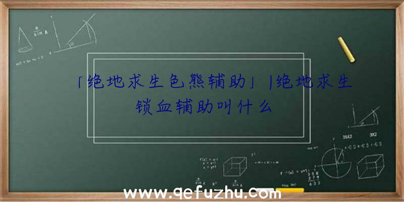 「绝地求生色熊辅助」|绝地求生锁血辅助叫什么